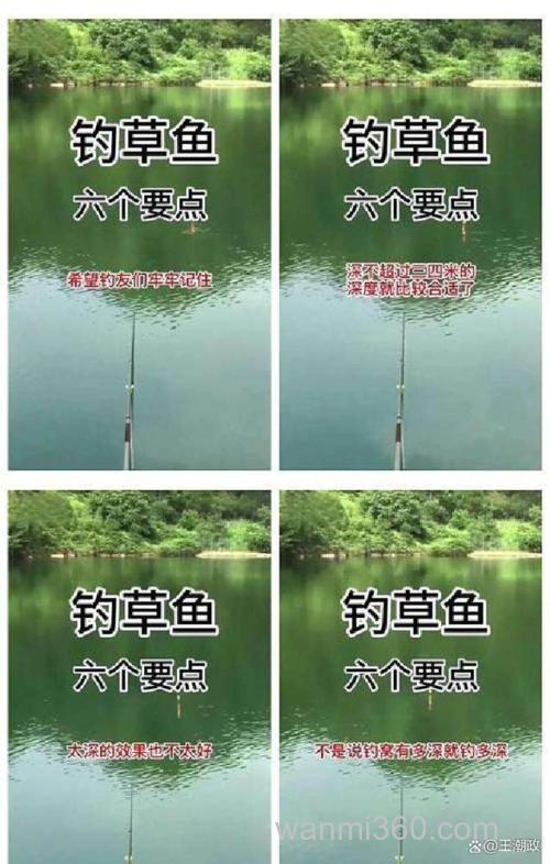 草鱼找窝子口诀?