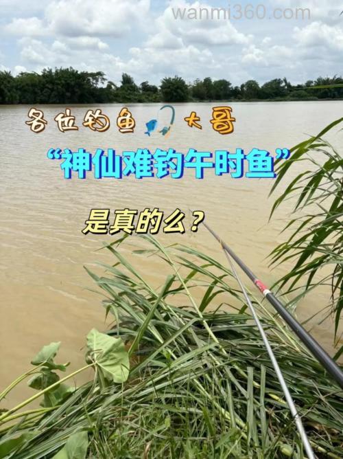 神仙难钓午时鱼是真的吗?