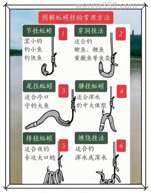 钓鲫鱼蚯蚓的正确挂法有哪些?