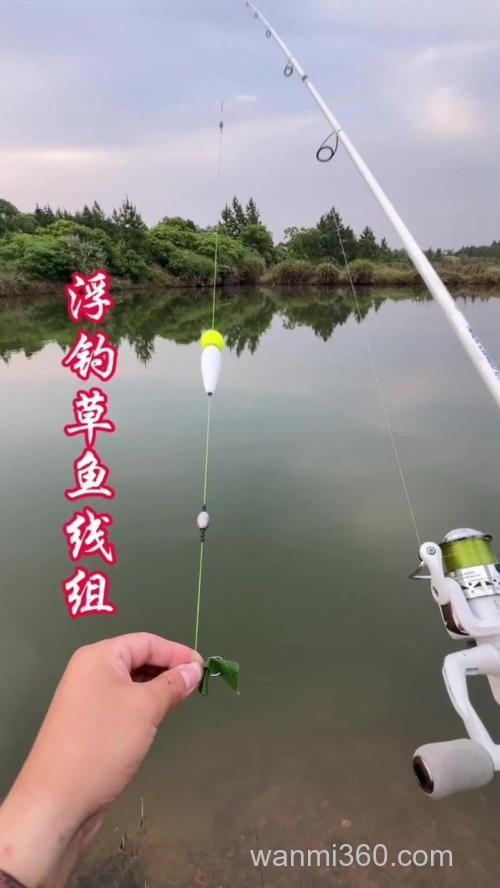 野河一米浅水钓草鱼最好的方法?
