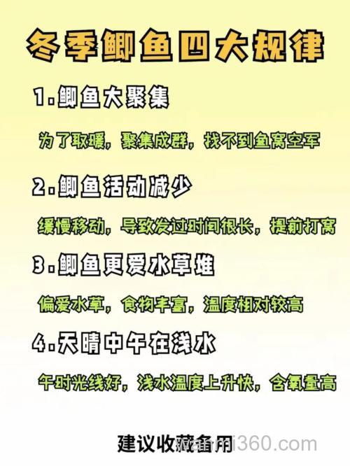 秋冬钓鱼需要注意什么问题?6个方面要注意!