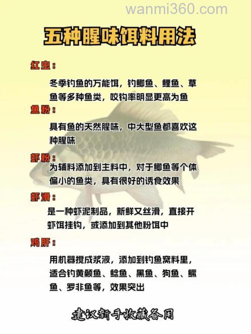 香腥饵料再加什么可以更适合钓鱼