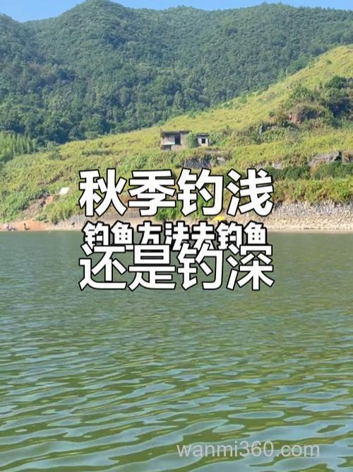 秋天中午钓鱼钓深还是浅?