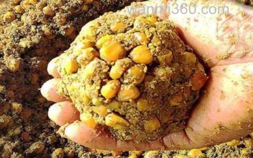 打窝料用红糖好还是用白糖好