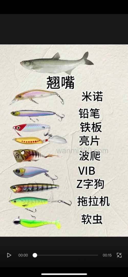 钓鱼用什么鱼饵?
