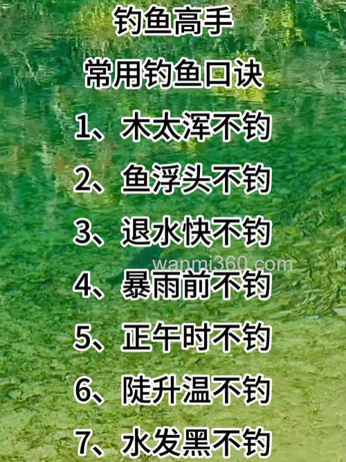 怎样才能钓到大鲤鱼?钓鲤鱼口诀有哪些?