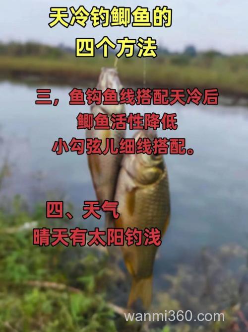 天冷后大鱼还能钓吗?天冷后怎么钓大鱼?