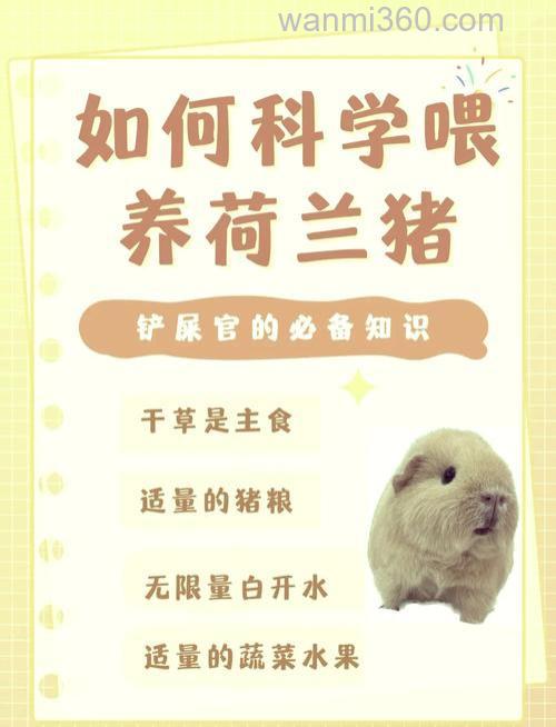 养猪如何配饲料?