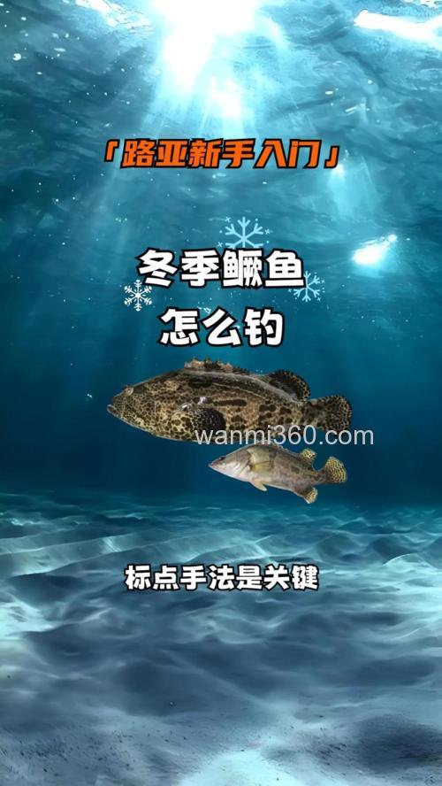 钓桂花鱼的五个钓法技巧分享