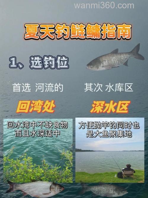 初夏如何钓鲢鳙能钓到吗?