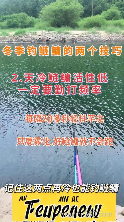 冬天如何钓鲢鳙