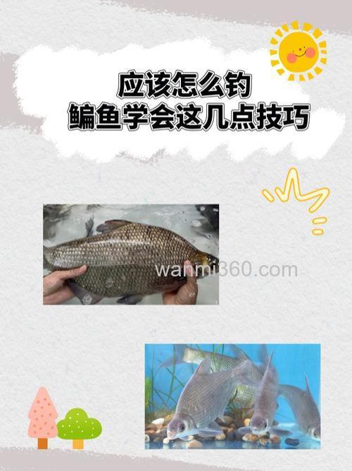 开启狂钓鳊鱼的快捷方式