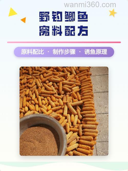 在水库野钓小鲫鱼 窝料的配方和制作方法
