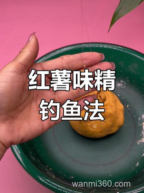 红薯可以钓到鲫鱼吗?