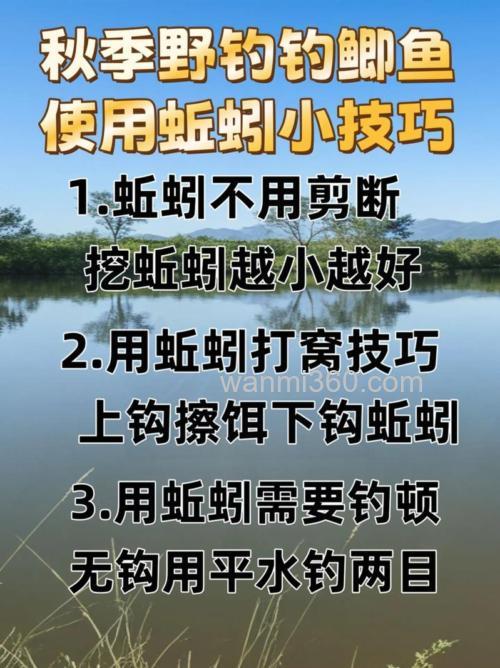 晚秋钓鲫鱼用蚯蚓还是饵料?