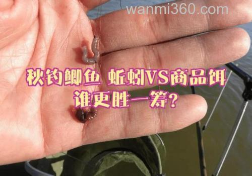 用蚯蚓和商品饵钓鱼哪个更好?