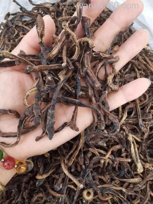 拼多多上的麝香干蚯蚓好用吗？