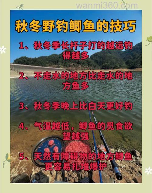 秋天教你如何在北方野钓鲫鱼