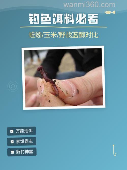 野战蓝鲫和蚯蚓哪个好?