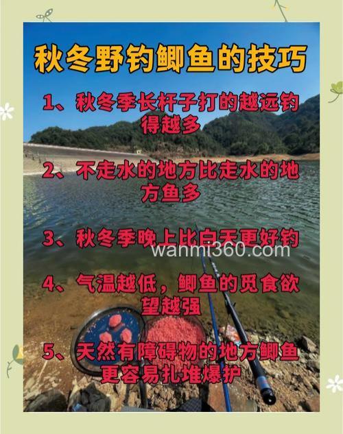当下季节野钓土鲫鱼的技巧分享