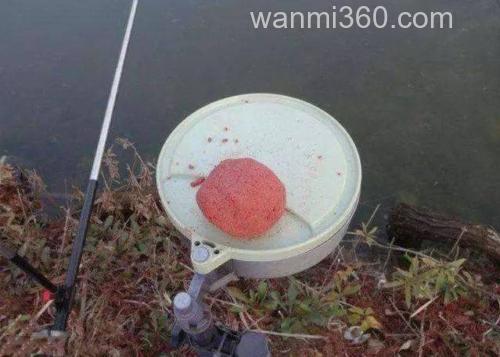 蚯蚓白糖水钓鱼效果？