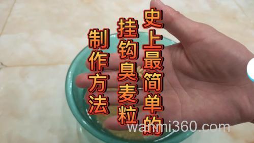 自制麦子钓鱼绝密配方？