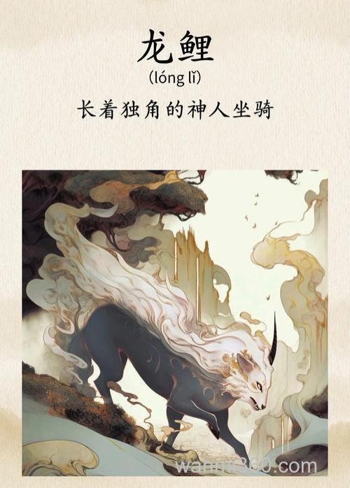 鲤鱼是什么是龙鱼吗~!