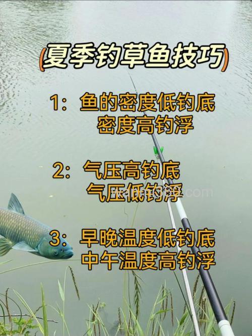 夏季怎样钓草鱼