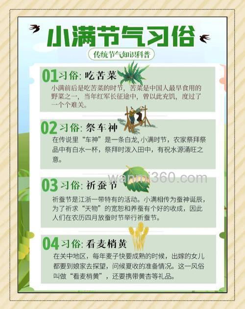 小满三不吃是什么?
