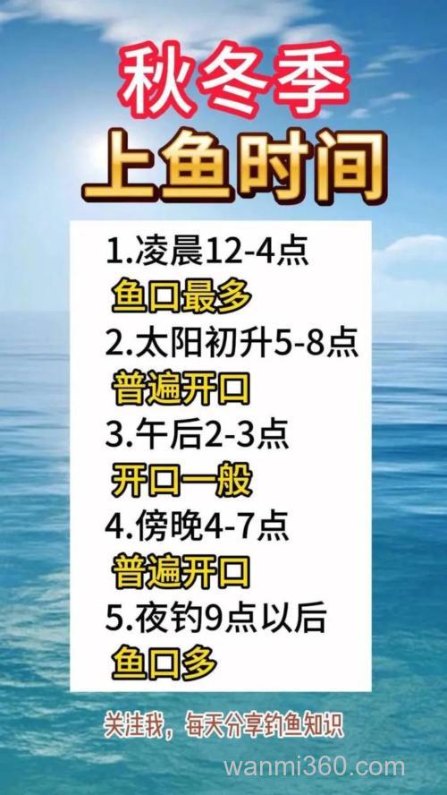 天冷了什么时间钓鱼最好?