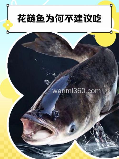 鲢鳙甚至上不了榜,这几种鱼堪称水中蛮牛