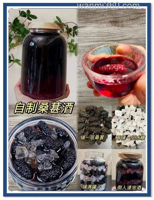 有什么技巧可以让自制的桑葚酒甘甜美味?