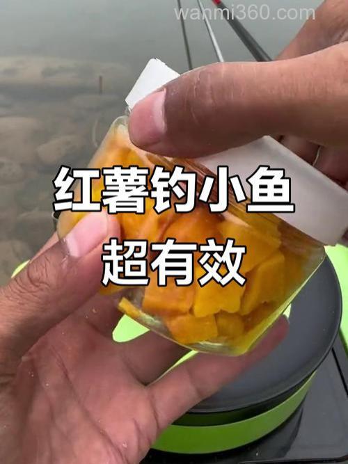 钓鲫鱼红薯的做法?