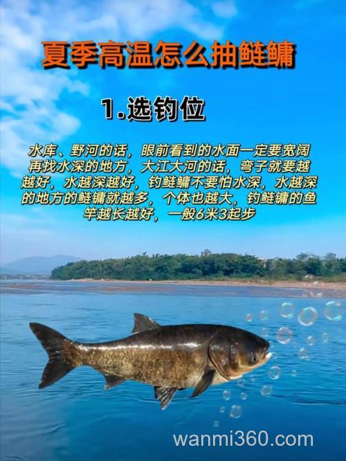 夏钓鲢鳙,这3个点,你注意到了吗?