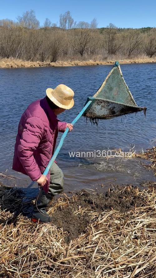 用网子去河里捞鱼用什么食物好？