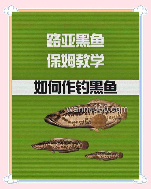 介绍一种钓黑鱼的新方法