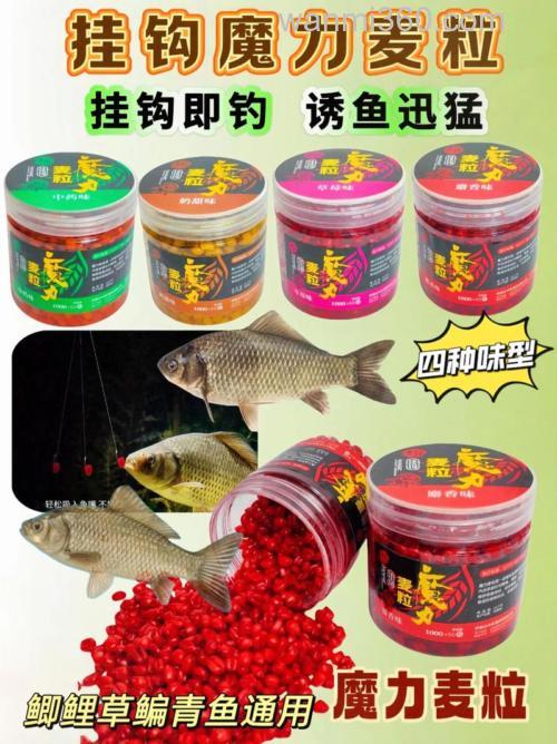 野钓夜钓鲤鱼用小麦粒还是商品饵？