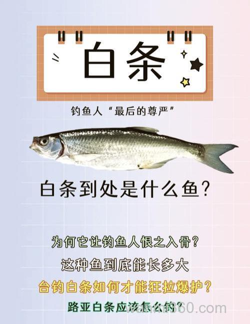 白条太多怎么办
