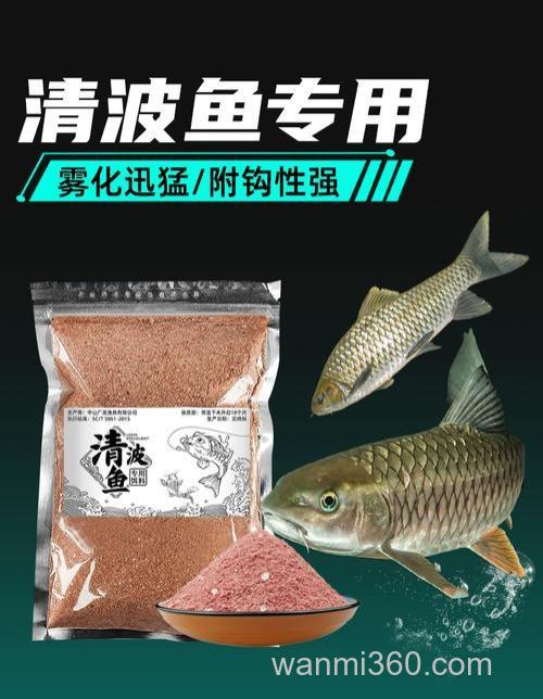 青波鱼吃什么鱼饵,想知道去钓
