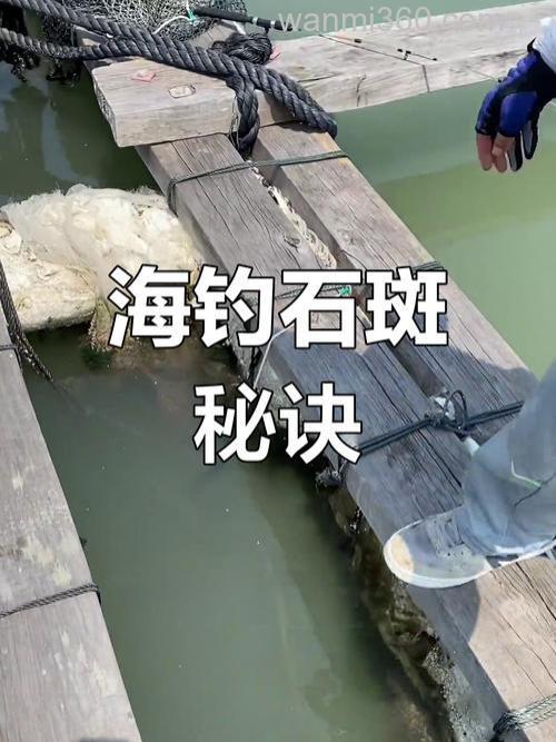 海钓石斑鱼:选对装备与技巧,畅享挑战与乐趣