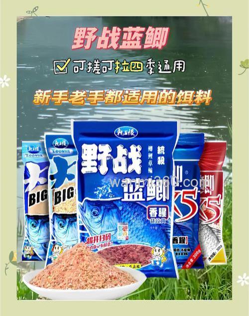 钓鲫鱼饵用蓝鲫和什么饵备最好用
