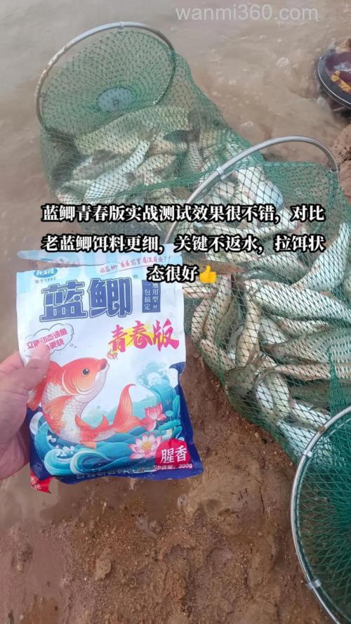 龙王恨的野战蓝鲫和蓝鲫如何使用?