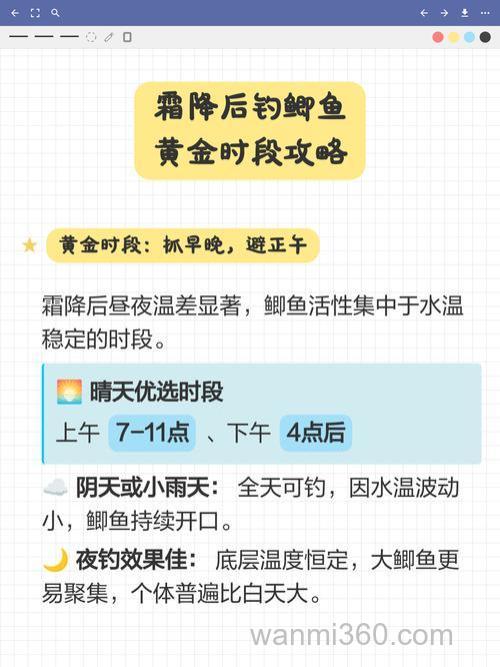 霜降后钓鲫鱼技巧