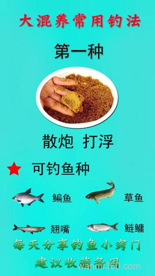 浮钓草鱼鳊鱼如何打窝?