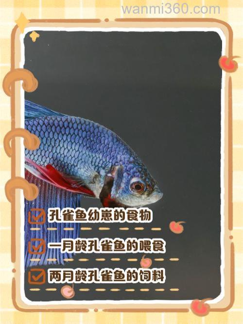 孔雀(鱼)最喜欢吃什么?
