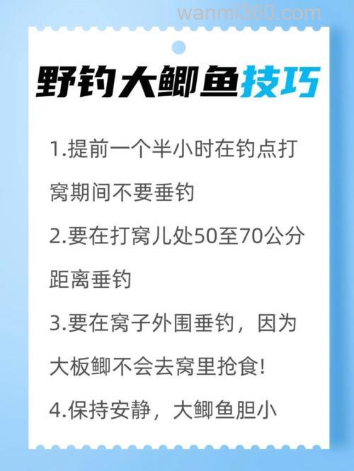 野外垂钓“小鲫鱼”，这5个技巧，简单又实用