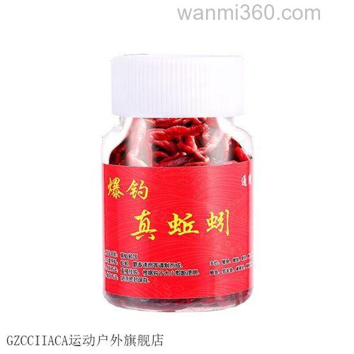麝香蚯蚓饵钓鱼效果怎样?