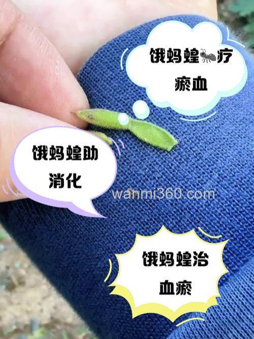 食饵能治病吗