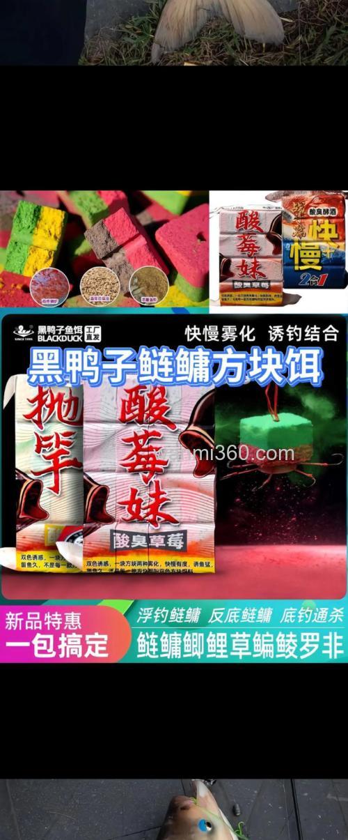 海竿钓鲢鳙用什么饵料最好?
