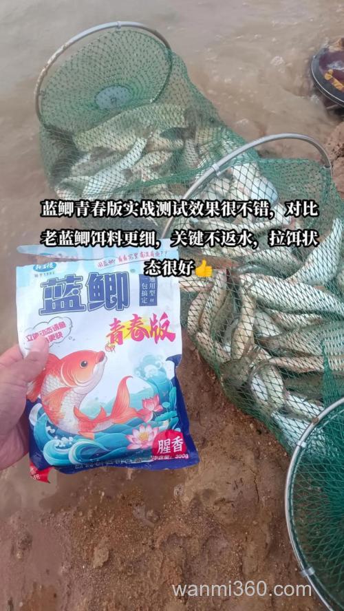哪个高手指点下，龙王恨蓝鲫使用技巧？